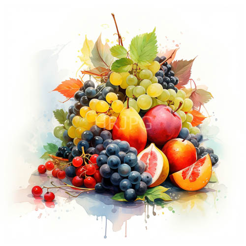 High Resolution: Fruit and Berries Watercolor Arrangement with Paint Splashes and Empty Space download. | HRJPG.com