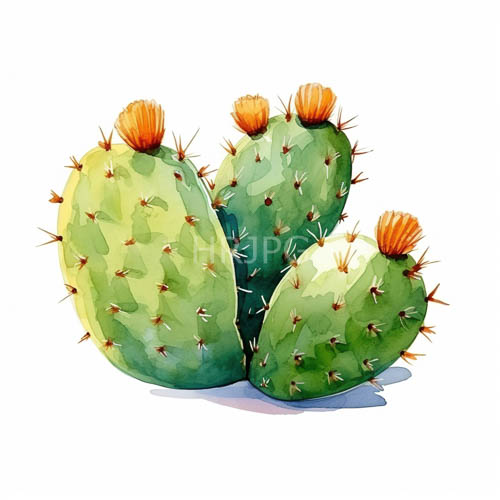 High Resolution: Green cacti with orange spines rendered in geometric watercolor style against clean white background download. | HRJPG.com