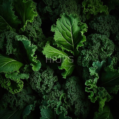 white vein networks trace patterns across dense kale over black
