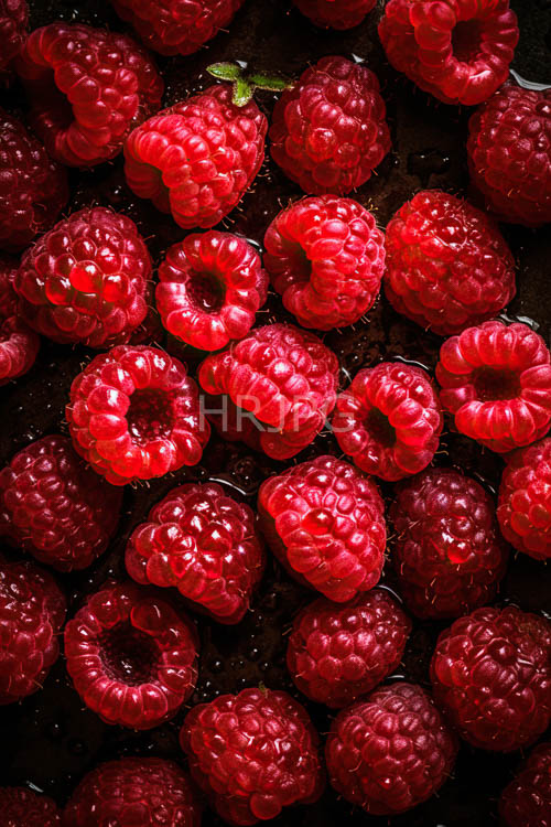 raspberries clustered tightly on wet dark ovalshaped background with scattered moisture