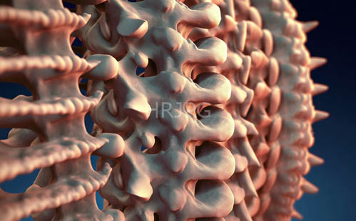 intricate organically flowing skeletal forms emerge from gradient dark blue background